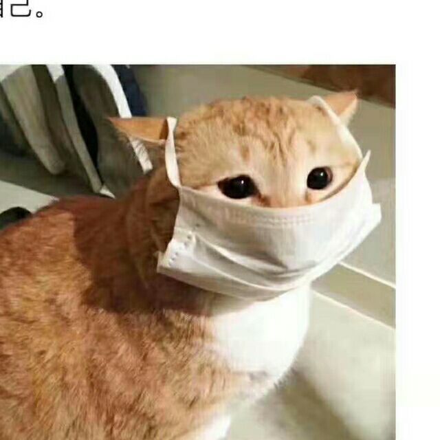 1130098 天下乌龟一样黑