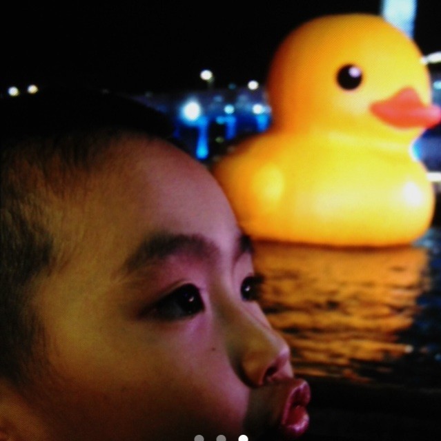 1130398 娃娃