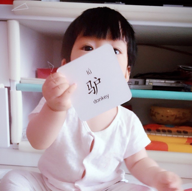 1130572 Steven