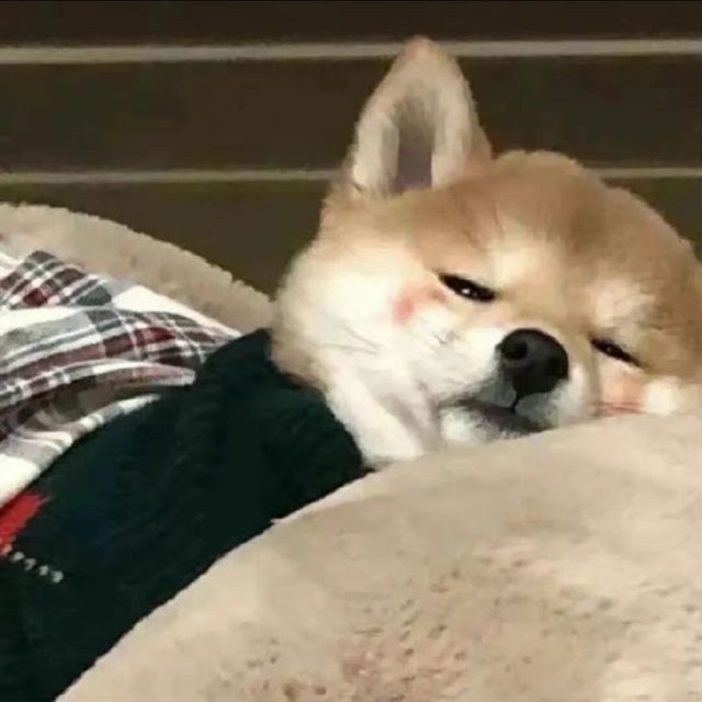 113077 馨歆