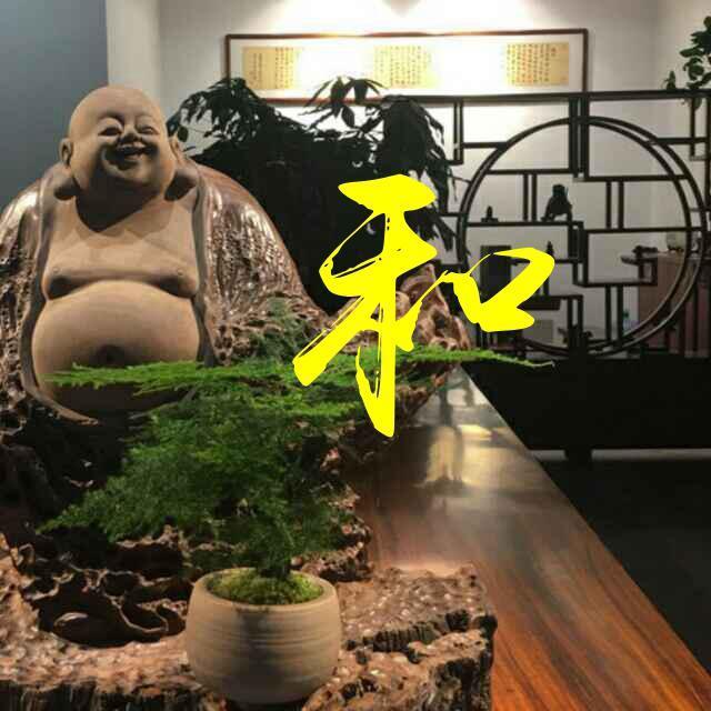 113161 淡然