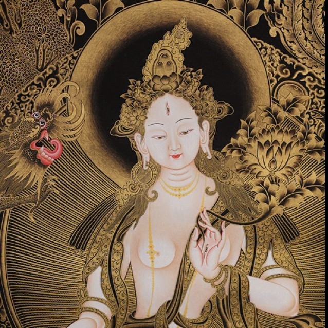 1131698 Lotus~eater