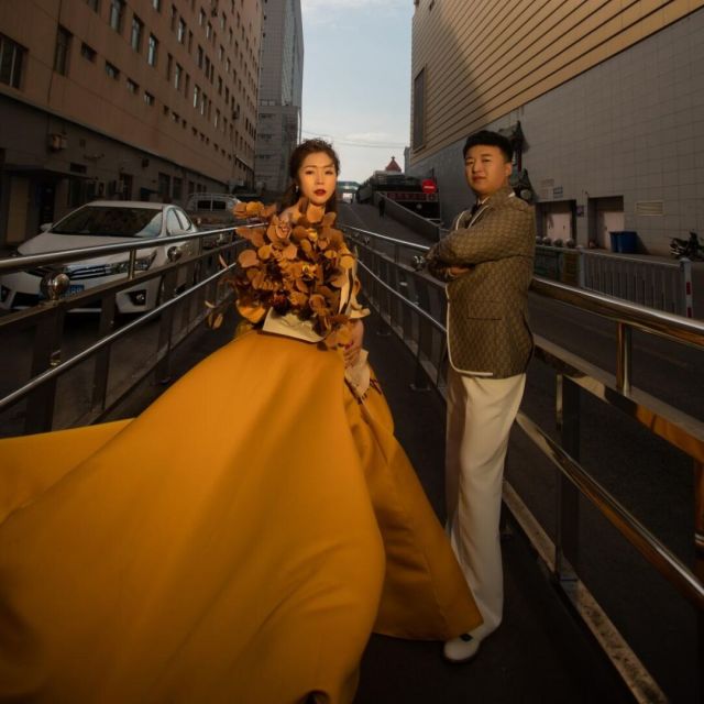 1131721 。
