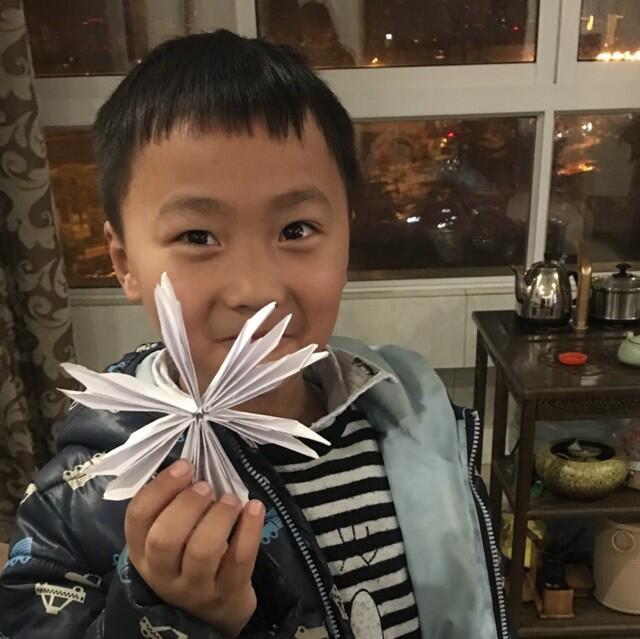 1132228 春天花