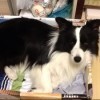 1132458 Jeccy...莉莉