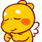 1132584 爱在漂泊