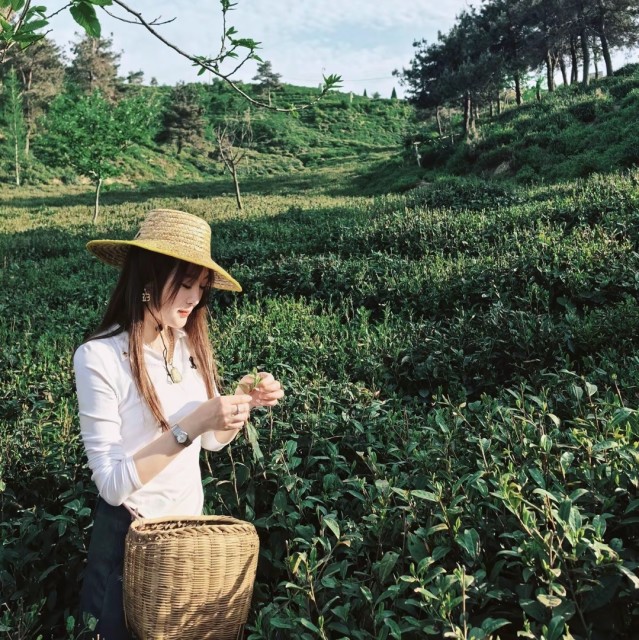 1132768 李小茜。