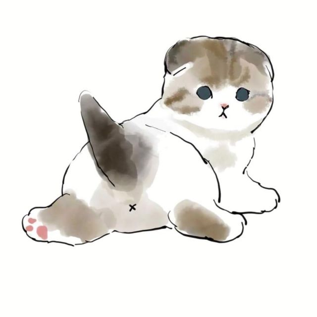 1133341 苏沫