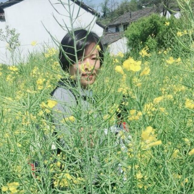 1133345 0.1の缘
