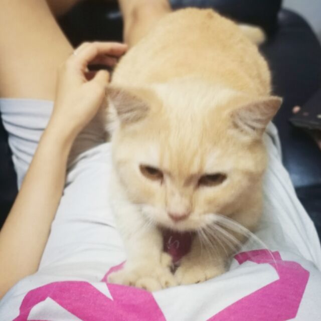 113347 瑜梓酱