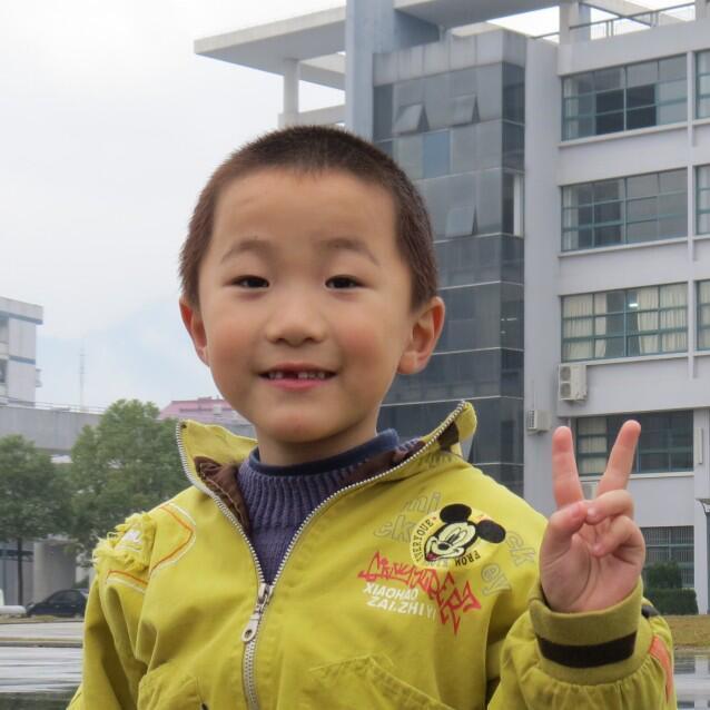 113355 云飞扬