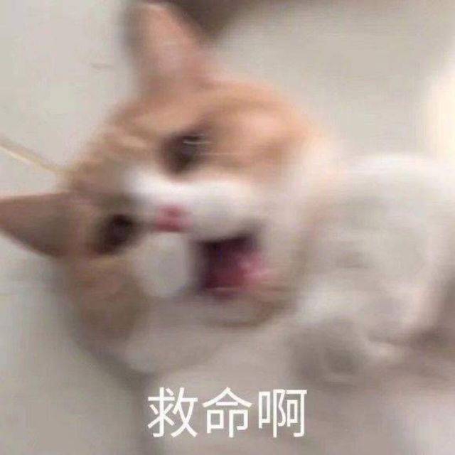 1133742 翁姿姿药不能停。