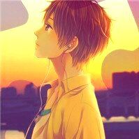 1133853 sweet