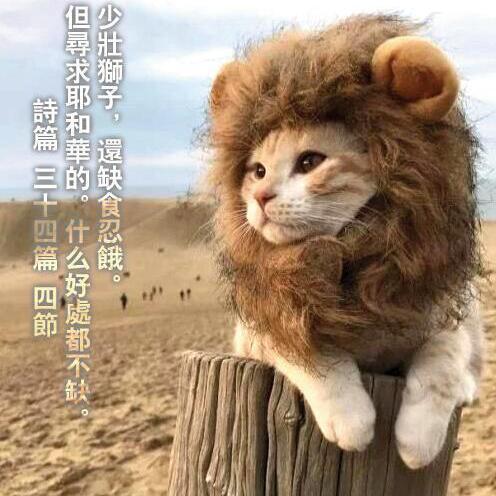 1133867 Eide魏懿