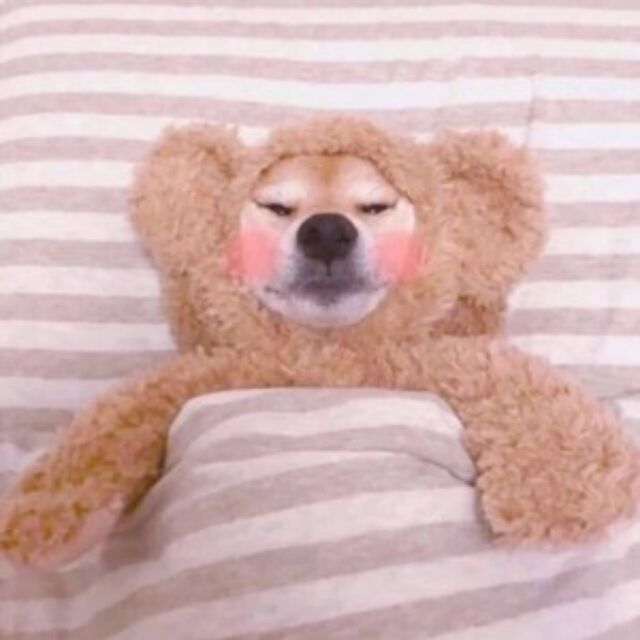 1133927 彩虹直至黑白
