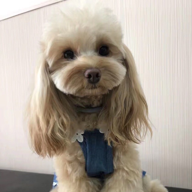 1133942 小幸运