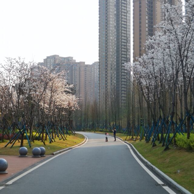1133971 皮娃娃