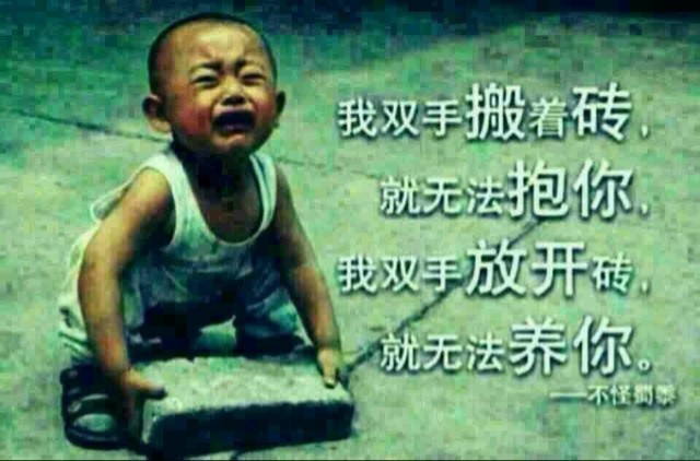 1134005 感恩