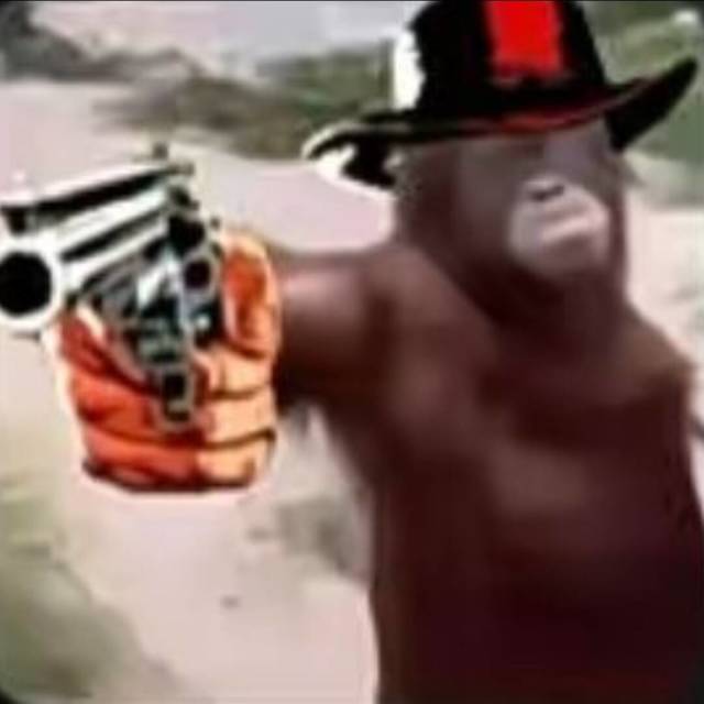 1134145213 斌哥Yy5686
