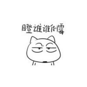 1134369 εکي 大沫,