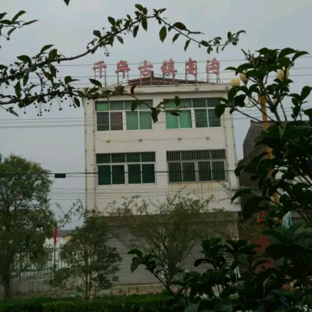113475 瑞德阿米牛