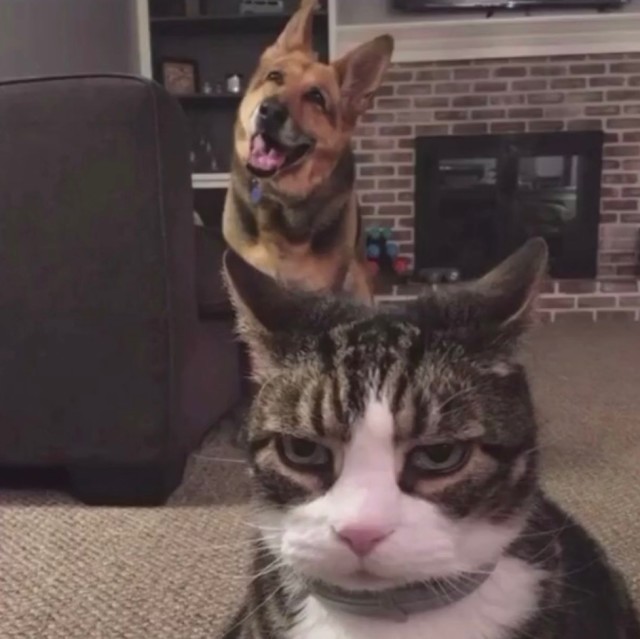 1135135 