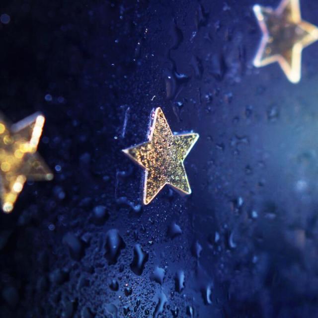 1135195 Stars-D