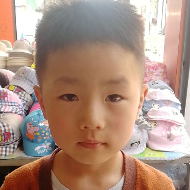 113527 幸福此生