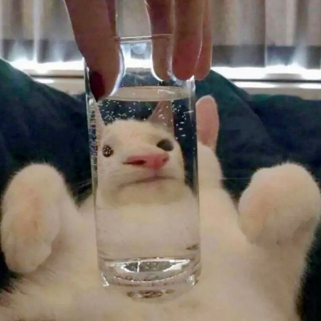 1135369 /*-+ 