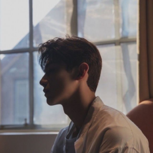1135515 埃文