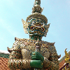 1135867 hong