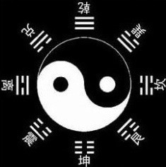 1136028 飞鸟