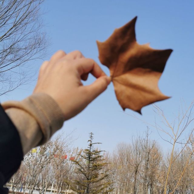 1136150 半點メīП
