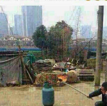 113640 笑看风云