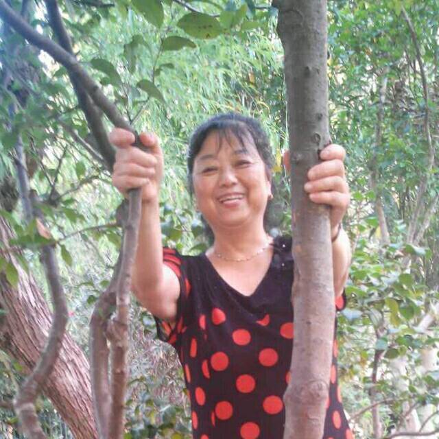 1136443 飘欣