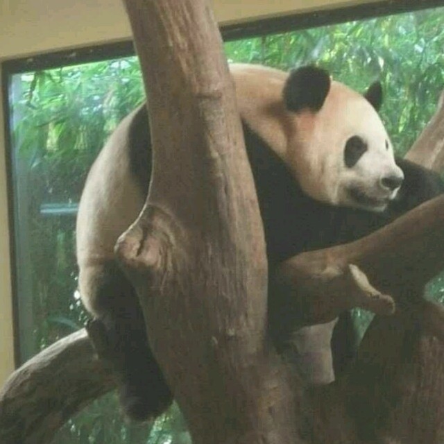 1136451 ≮寂寞的人≯