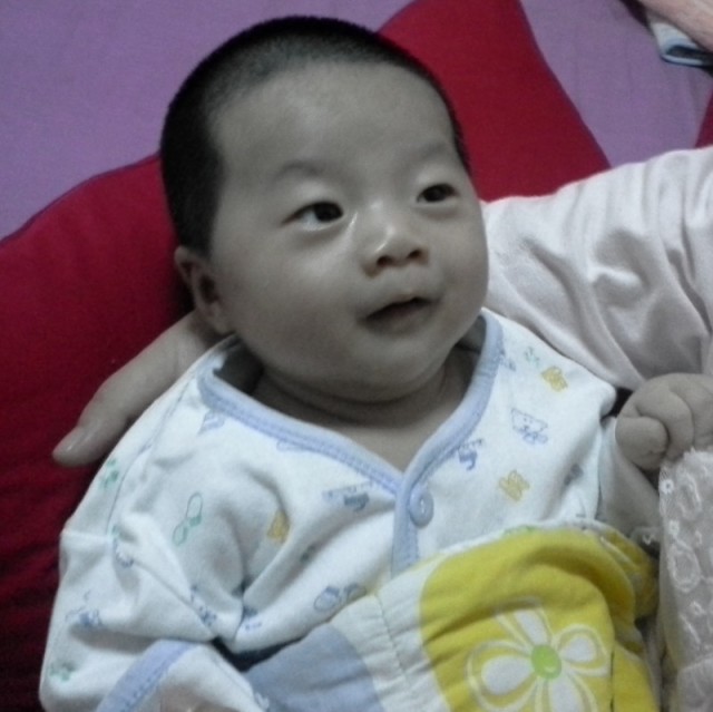1136485 元宝