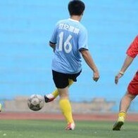 1136630 雒