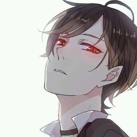 1137196 金色年华