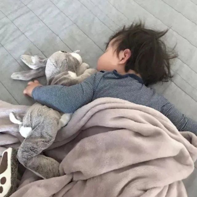1137525 简单也极端.