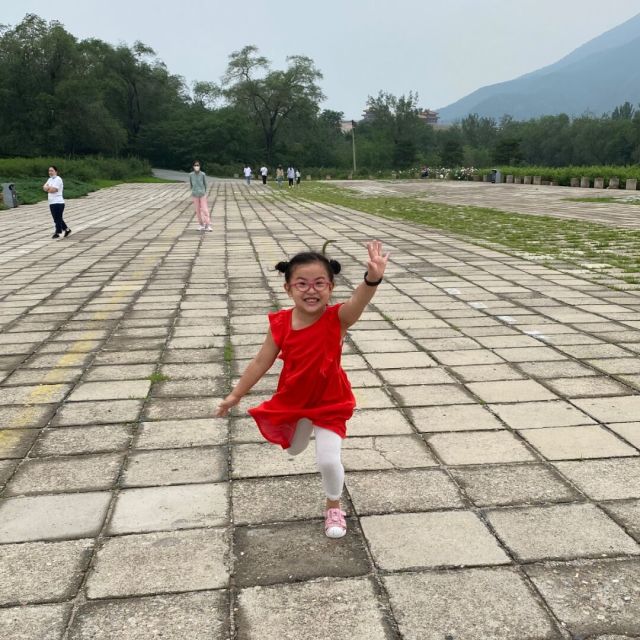 1137739 风起