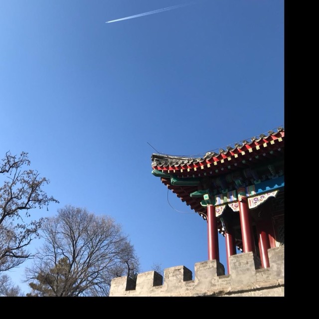 1137766  飞扬落寞