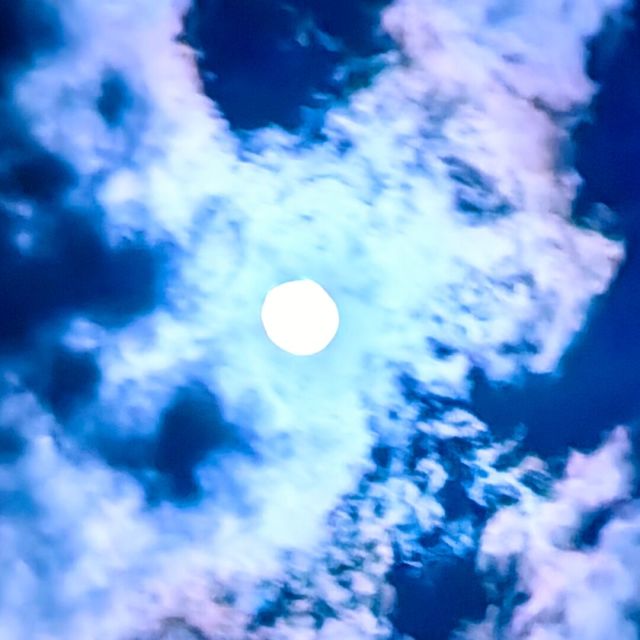 1138021 浪子