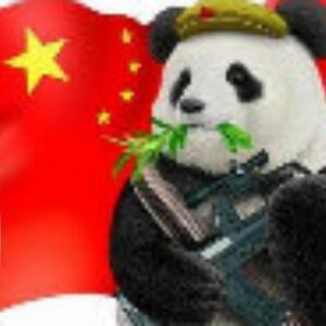 1138369 不惑