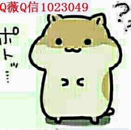1138708 求索