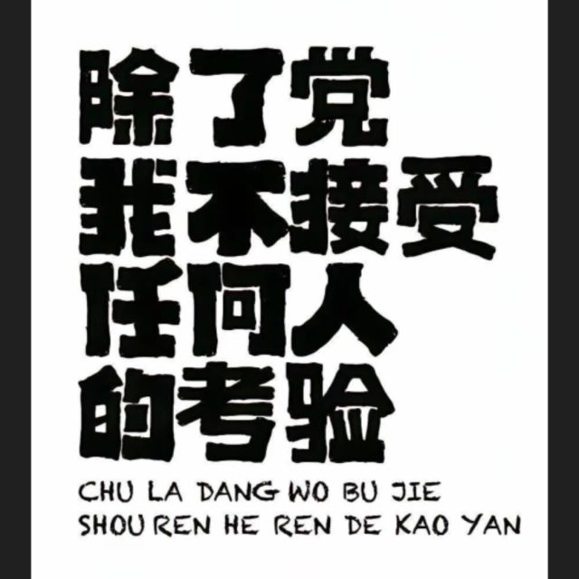 1138791 LEO