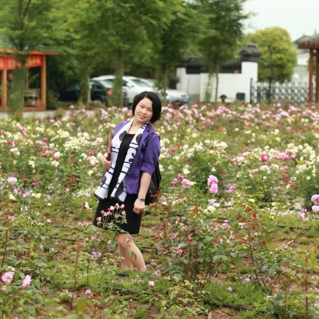 1138800 忘忧草
