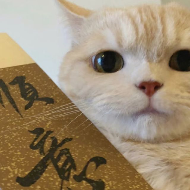 1138863 ζ＂人生苦短@