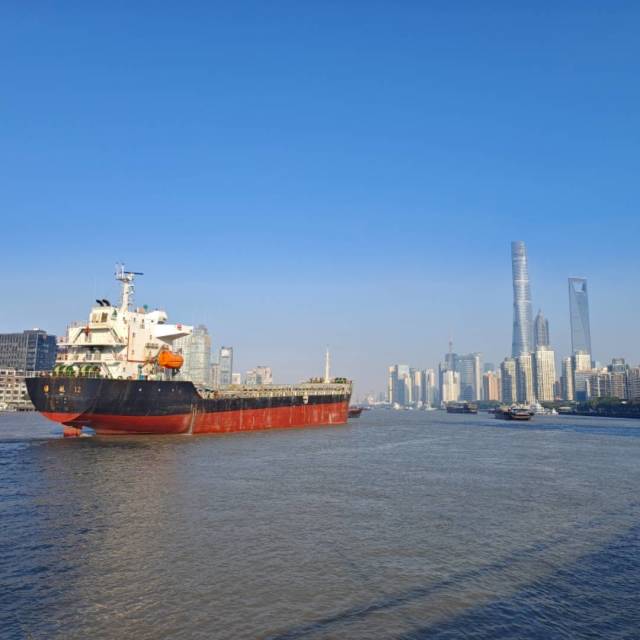 1138996 扬子海