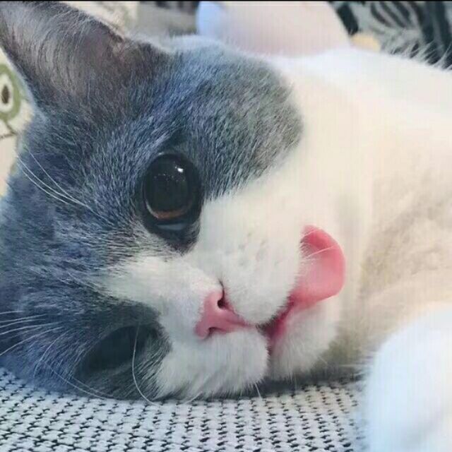 1139397 |゛會有幸福